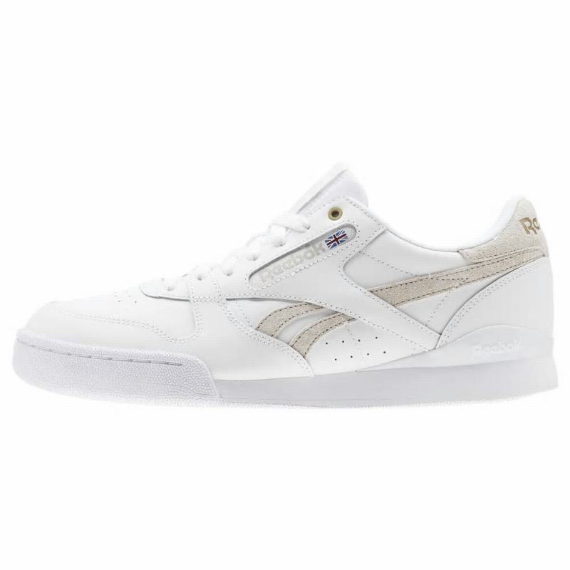 Tenisi Reebok Phase 1 Pro X Montana Cans Barbati Albi Romania TY2103WU